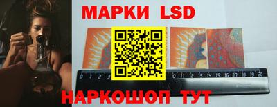 стафф Дубна