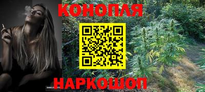 стафф Дубна